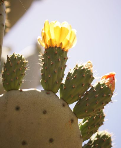 image00008